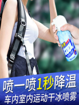 Cooling spray Summer car cooling artifact Car rapid cooling agent cooler Car car dry ice