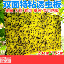 Double-sided sticky worm board yellow blue one-sided fly Buster environmental protection yellow board black slime worm board trap insect mosquitoes board
