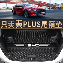 BYD Qin plusdmi trunk mat 2021 Qin proev New Energy Special backup tailbox Mat supplies
