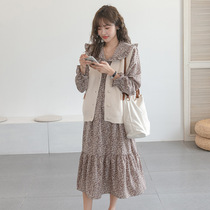 Autumn new maternity dress Korean fashion vneck cardigan foreign large size slim knitted vest