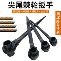 Tip tail ratchet wrench double-head socket quick wrench two-way plum blossom hexagon multi-function pointed plate hand movable lever