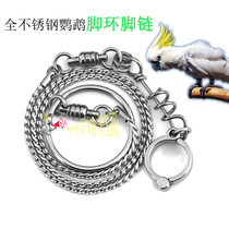Full 304 stainless steel large eclectic King Kong sunflower parrot open foot ring anklet anti-disassembly live buckle bird anklet