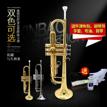 Professional flagship store flat B- tone trumpet popularization trumpet practice trumpet with cloth bag paint gold TR400