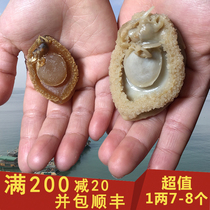 Dalian Seafood and Aquatic Dried Seafood Mini Small Abalone Dried Super Large Specialty Book 80 Head 50g