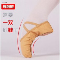 Children's dance shoes women's soft soles exercise shoes meat pink dance shoes girls cat claw shoes Chinese dance shoes