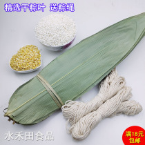 Guangxi big rice dumplings free mail package raw materials wild fresh dried zongcotyledon extra large film dumplings ingredients