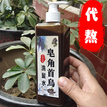 Saponicao Shouwu side leaf shampoo old customers custom boiled 500 grams anti hair loss Black hair davings ink dry lotus