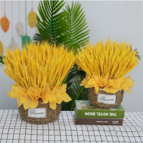 Natural golden wheat ear dried flower bouquet opened barley living room pastoral decoration gift box flower arrangement blue basket