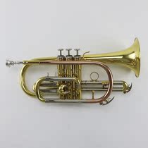 Burlismetti Paint Gold Cornet