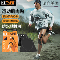 US kttape muscle patch Running sports bandage Professional muscle endogenous patch Knee ligament strain tape