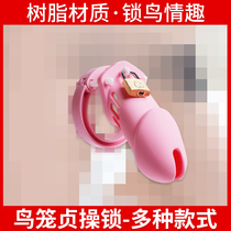 SM sex chastity lock resin model men with chastity lock ring CB penis lock abuse yang stimulation jj bound abstinence device