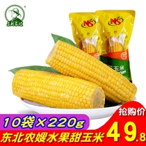 Northeast farmers sweet corn fresh fruit corn cob crisp and juicy vacuum open bag ready to eat raw 220gx10 root