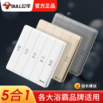 Bull Yuba switch five-in-one universal bathroom heater switch panel household heater five-in-one