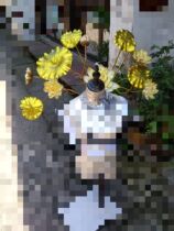 (Custom)Onmyangshi Emperor Shi Tian COS Lotus Headdress