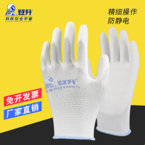 Climbing labor-free silicon PU669 with adhesive antistatic nylon electronic dust-free glove abrasion resistant summer thin work