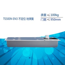 Not positioned Germany Geiser GEZE ground spring TS500NEN3 accessories load bearing 100KG max door width 950mm