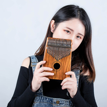 initer Thumb violin Kalimba Beginner Finger Finger Portable 20-tone Double Finger Musical Instrument