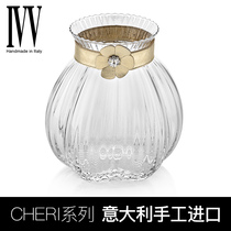 Italy imported IVV crystal glass vase Nordic creative simple light luxury ornaments living room water vase