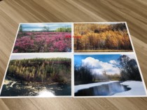 TP20 special postage postcard Beautiful Oroqen 4 All Ali River God Finger Gorge Xingan Dujuan Valley