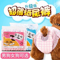 Pet physiology diapers Teddy diapers wet menstrual mother dog aunt towel safe male dog hygiene women menstrual pants