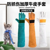 Anti-biting gloves anti-dog biting anti-cat catching training dog training dog artifact anti-catching catching dog training bathing