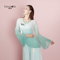 Liu Ge classical dance clothes gradient hot diamond body dress female elegant foundation training uniform Chinese dance performance clothing tassel tassel