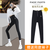 Shark pants woman outside wearing spring and summer thin section pressure slim leg lifting hip-collecting Barbie yoga pants with underpants high waist and waist