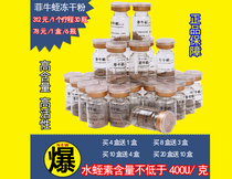 Sales of more than a thousand high content hirudin phyllox leech freeze-dried powder leechin special price Lotte monkey