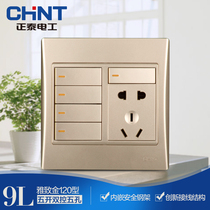 Chint Electrician 120 NEW9L Safety Steel Frame Wall Switch Socket Gold Five-Open Five-Hole Socket Multifunctional