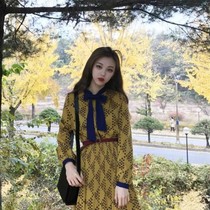 Early and early autumn popular new skirt fairy super fairy sen sweet waist dress long skirt long skirt