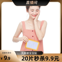 Warm friend warm baby paste Big Aunt female Palace cold conditioning winter special self-heating cold warm foot stick