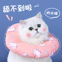 Elizabeth circle cat headgear anti-licking bite waterproof dog Shame collar Elizabeth white collar pet supplies
