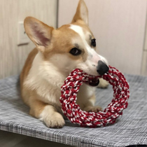 Dog bite-resistant knot Golden retriever toy dog bites Bomei puppy Labrador to relieve boredom big dog grinding tooth tug knot