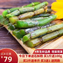 Authentic Huoshan Dendrobium powder Dendrobium candidum fresh strips 1Kg pure powder health tea Chinese medicine Dendrobium fresh strips 500g maple Dou