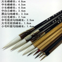 Watercolor Chinese painting meticulous painting Hook pen set line drawing flowers and birds characters mouse beard small red hairy leaf tendons fancy brush