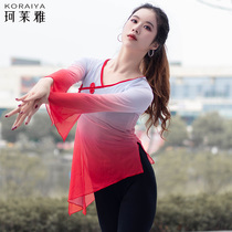 Classical Dance Concept for Adult Yarn Sweater Chinese Dance Ballet Body Dressing