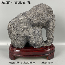 The original stone auspicious Elephant auspicious ornaments natural stone landscape stone Lingbi stone Taihu stone natural strange stone ornamental stone