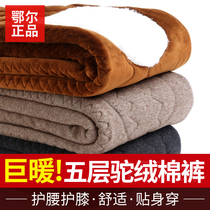 Ordos City camel wool cotton pants men and women plus velvet thickened winter cashmere pants middle-aged and elderly warm wool pants loose