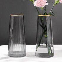 Light luxury gold vase Net red transparent glass living room flower decoration decoration creative simple Nordic water flower arrangement