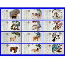 Chinese painting zodiac dog postage postcard postcard New year film natural limit film with stamp 80 points