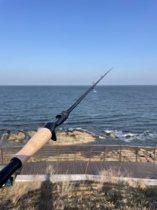 Rovena Ruikailin 2022 Touch Worm Rod Large Taper High Sensation Mandarin Fish Rod Bass Rod