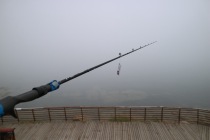 Rovenna outlet Original single 1 8 m GUN HANDLE FULL FUJI ACCESSORIES HORSE MOUTH ROD AND ROD FISHING ROD