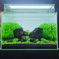 Magic point A series aquatic grass lamp led Full spectrum professional fish tank small grass tank landscaping dimmable wrgb Bracket Lamp