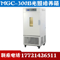 MGC-300B Light incubator Shanghai Yiheng plant incubator Seed germination box
