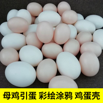 Fake eggs Hen lead eggs Simulation eggs Duck eggs Childrens house kindergarten painting DIY toy egg shell