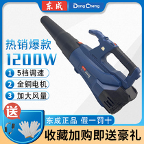 Dongcheng hair dryer high power dust removal household small electric blower shopping mall dust blowing industrial grade