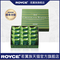 ROYCE Ruoyi Japan Imported Chocolate Wafer Biscuits Matcha Flavor Gift Boxed Snacks for Girlfriend
