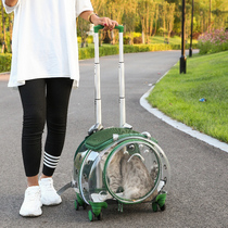 Pet cat out luggage case dog portable air case panoramic transparent breathable backpack bubble bag