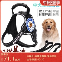 CHUKCHI dog leash dog chain vest chest strap large dog neck collar collar walking dog rope golden hair