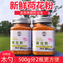 Fresh Lotus pollen bee pollen natural edible bee pollen not broken wall farm home-grown Lotus pollen people eat